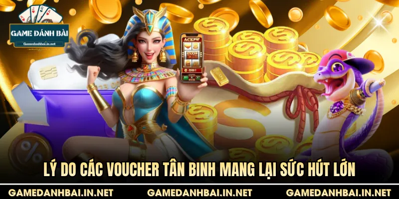 Lý do các voucher tân binh mang lại sức hút lớn