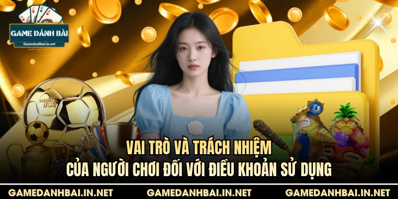 Vai trò và trách nhiệm của người chơi đối với điều khoản sử dụng